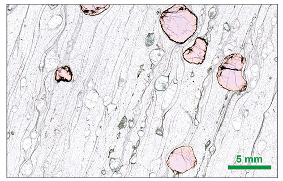 Thin section scan of a fluidal textured garnet peridotite from Udachnaya. Copyright: © Federico Casetta & Rainer Abart (University of Vienna).