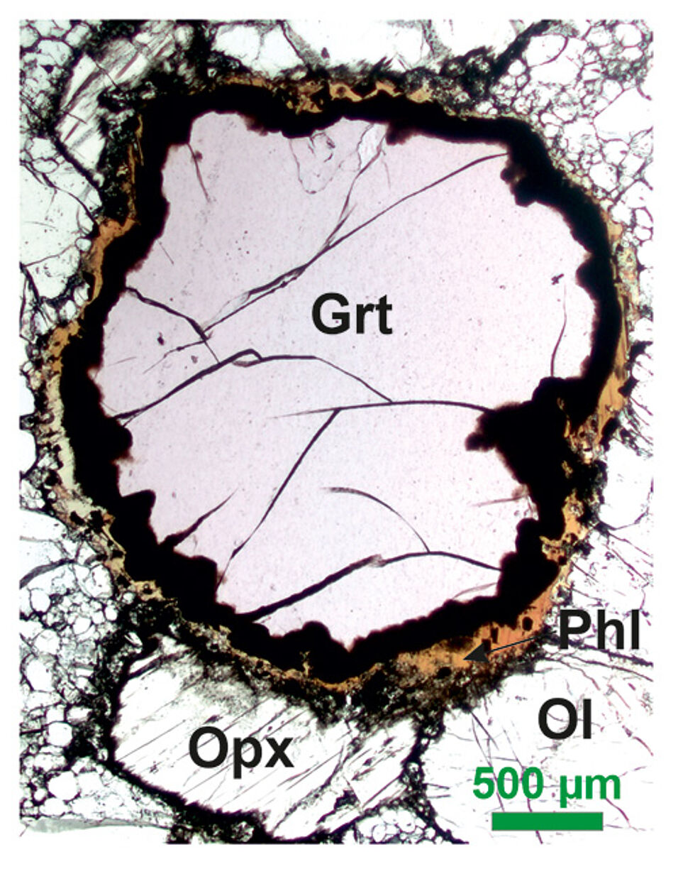 Photomicrograph (plane-polarized light) showing the occurrence of phlogopite around a kelyphitic rim developed at the expenses of garnet in a mantle peridotite. Copyright: © Federico Casetta & Rainer Abart (University of Vienna).